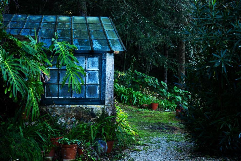 Almaa Sintra Hostel 外观 照片