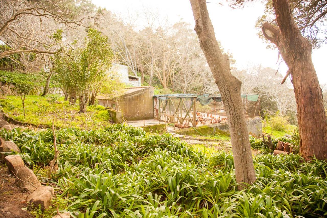 Almaa Sintra Hostel 外观 照片
